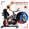 Gym Home Stationary 20 lbs Silent Belt Flywheel Exercise Bike
